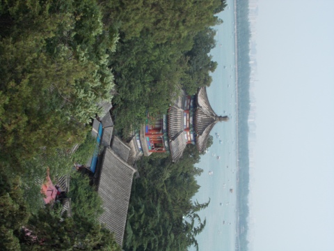 20120714-084031.jpg